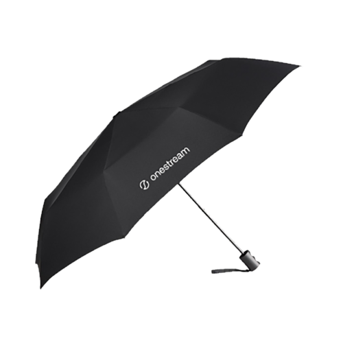 Pocket Umbrella